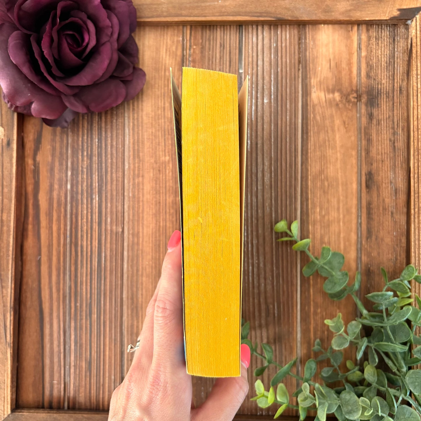 Twilight's Child - V.C. Andrews