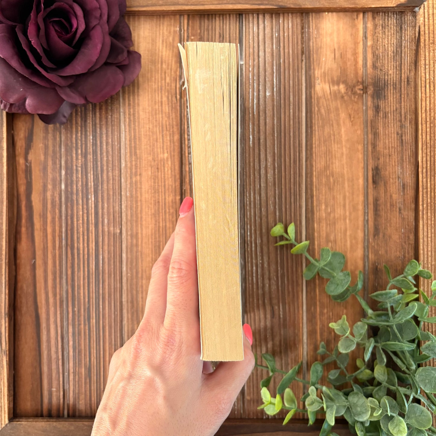 Dead Until Dark- Charlaine Harris