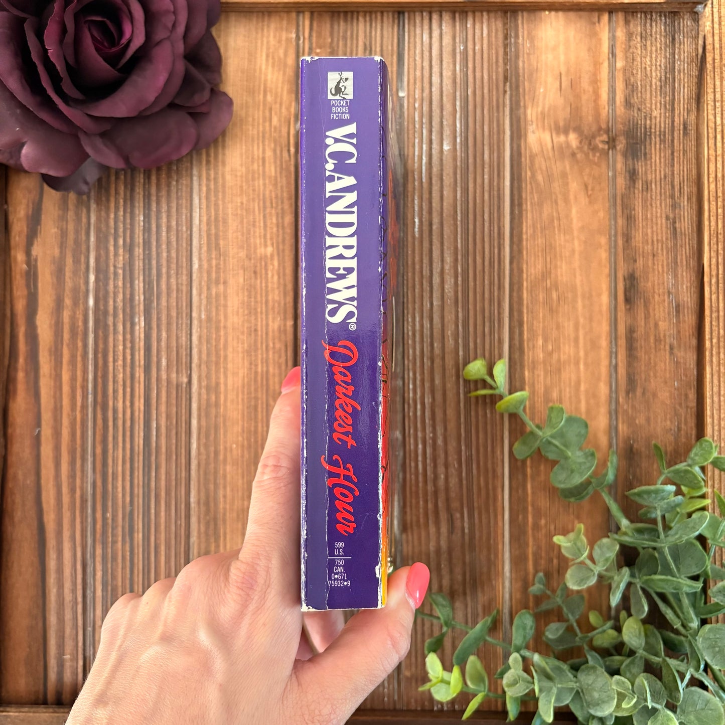 Darkest Hour- V.C. Andrews