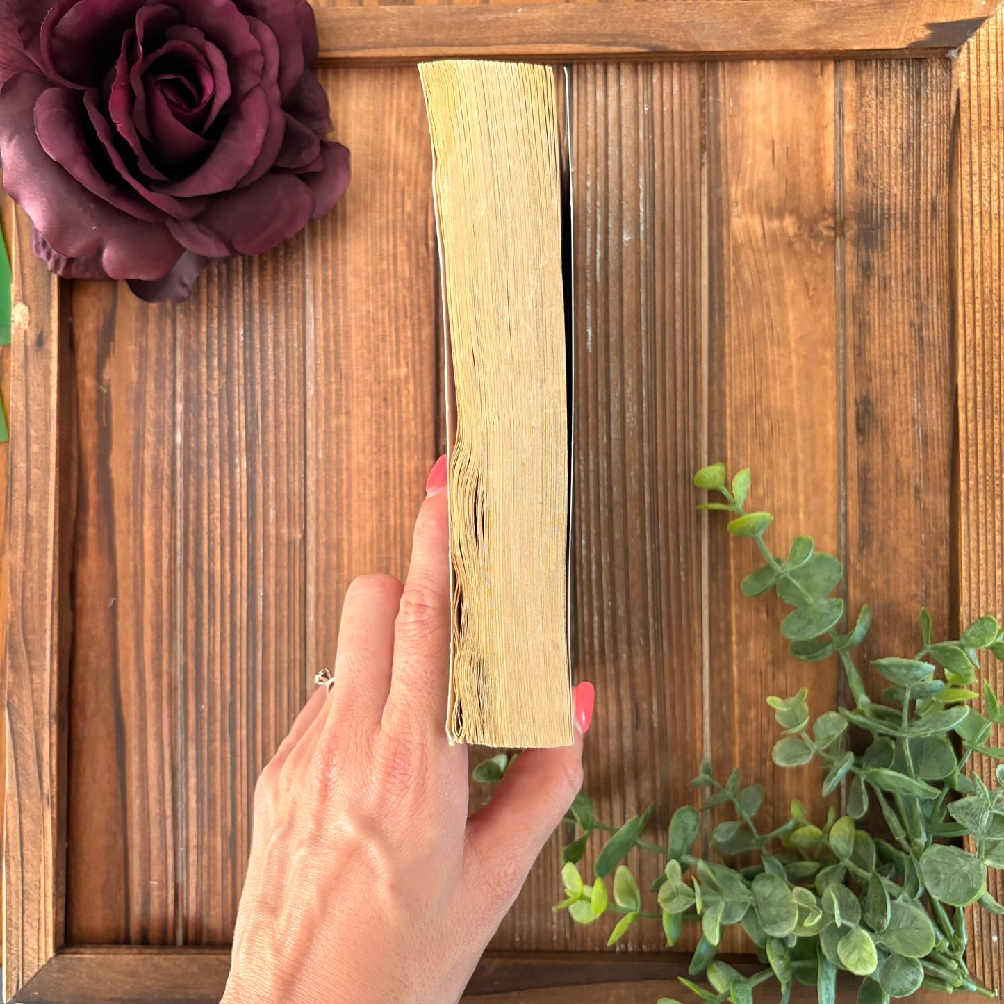 Definitely Dead- Charlaine Harris